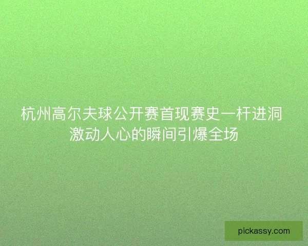 杭州高尔夫球公开赛首现赛史一杆进洞 激动人心的瞬间引爆全场 杭州高尔夫球公开赛首现赛史一杆进洞 激动人心的瞬间引爆全场