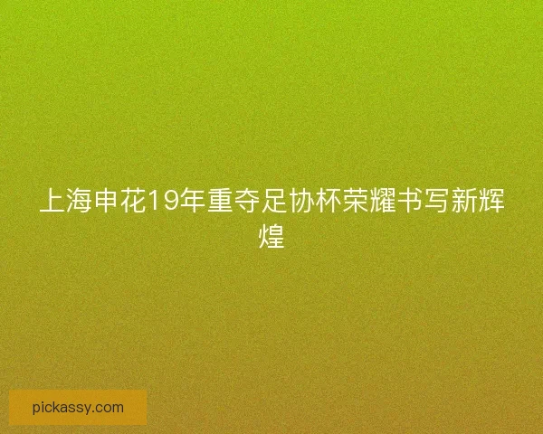 上海申花19年重夺足协杯荣耀书写新辉煌 上海申花19年重夺足协杯荣耀书写新辉煌